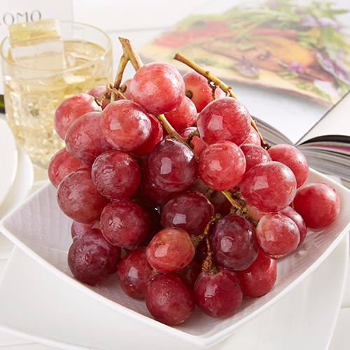 九游官网产品名称八